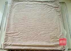 Chocolate Cream Cake Roll Recipe Illustration 14