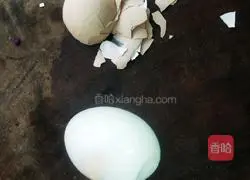 Illustration of how to make functional salad to reduce fat and gain muscle 7