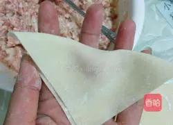 Illustration of Lao Ma's copying skills 2