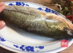 Illustration of how to make mint seabass 1