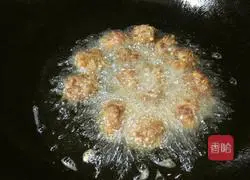 Illustration of how to make dry croquettes 6
