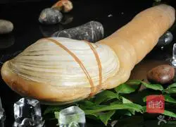 〖Elegant Poseidon Clam〗Also known as Geoduck Recipe Illustration 1