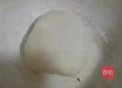 Illustration of how to make spring pancakes and rolls 2