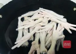 Illustration of braised chicken feet 2