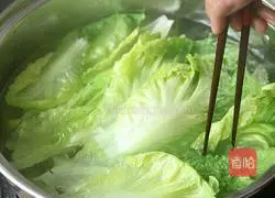 Oyster Sauce Lettuce Recipe Illustration 5