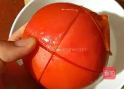 Tomato meat Illustration of making pasta 4