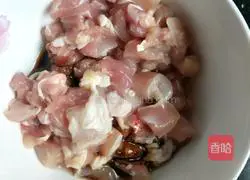 Kung Pao Chicken Practice illustration 2