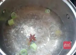 Illustration of how to make shredded pepper and chicken 9