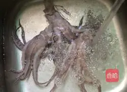 Illustration of how to make spicy squid tentacles 1