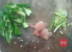 Illustration of Northeastern Pepper Dried Tofu 3