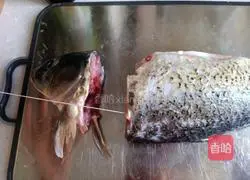 Illustration of how to make the prosperous peacock fish with open tail 5