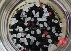 Illustration of how to make mulberry wine 4