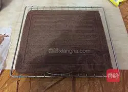 Cocoa Cream Cake Roll Recipe Illustration 16