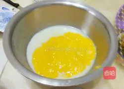 Yoghurt Mango Mousse Recipe Illustration 7 