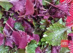 Illustration of how to stir-fry river snails with perilla 2