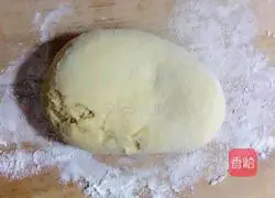 Tomato cheese pizza recipe 7