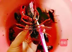 Illustration of how to make spicy crayfish 5