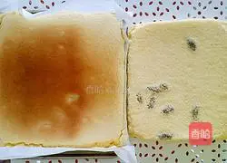 Tizi Illustration of how to make cream cake roll 15