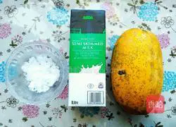 Illustration of how to make papaya milk 1