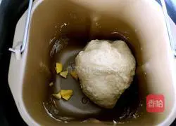 Thousand-layer bread recipe 3