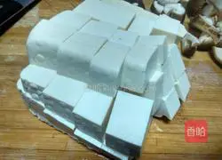 Simple Mapo Tofu Recipe Illustration 2