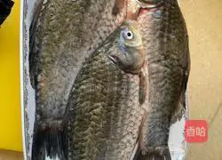 Illustration of how to cook crucian carp stewed in sauce 1