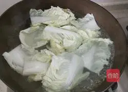 Illustration of braised meatballs 3