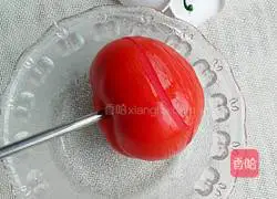 Illustration of homemade tofu with tomato sauce 5