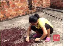 Illustration of how to make mushroom wine 2