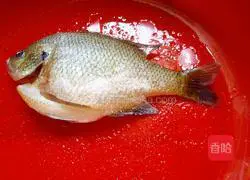 Braised fish (sunfish) recipe illustration 1