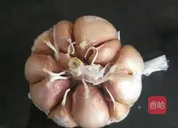 Illustration of how to make garlic oysters 2