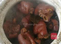 Braised Pork Knuckle Recipe 11