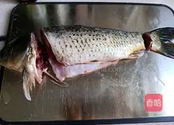 Illustration of how to make the prosperous peacock fish with open tail 4