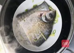 Illustration of how to make steamed Wuchang fish 11