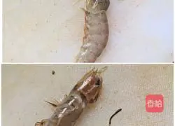 Illustration of how to make crispy shrimp 1