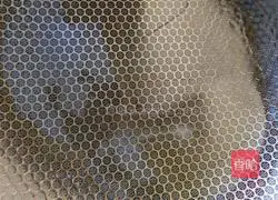 Illustration of braised crucian carp 3