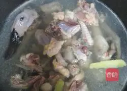 Roche Beer Duck Recipe Illustration 3