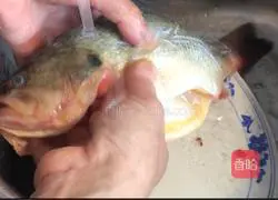 Illustration of how to make mint seabass 3