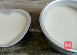 Coconut Yoghurt Mousse Cake Recipe Illustration 10