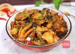 Illustration of how to make braised chicken and mushroom vermicelli 17