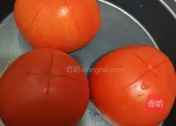 Basic tomato sauce recipe 1