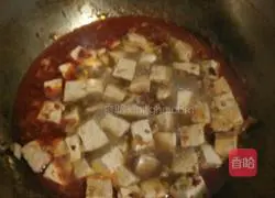 Sichuan Mapo Tofu Recipe Illustration 8