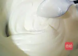 Yoghurt mousse cake recipe 9