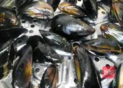 Illustration of how to make steamed green-mouthed clams 4