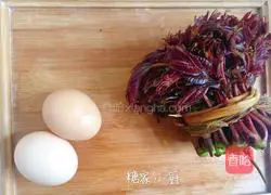 Illustration of the must-eat Chinese toon scrambled eggs in spring 1