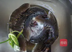 Beer Lemongrass Shrimp Recipe Illustration 3