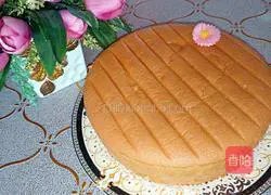 French whole egg sponge cake recipe 10
