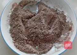 Cocoa Cream Cake Roll Recipe Illustration 4