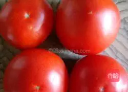 Illustration of homemade tomato sauce 1