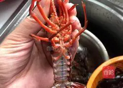 Illustration of how to make beer lobster 2